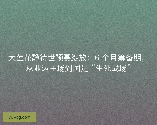 大莲花静待世预赛绽放：6 个月筹备期，从亚运主场到国足 “生死战场”